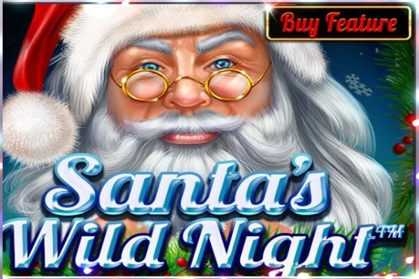 Santas Wild Night